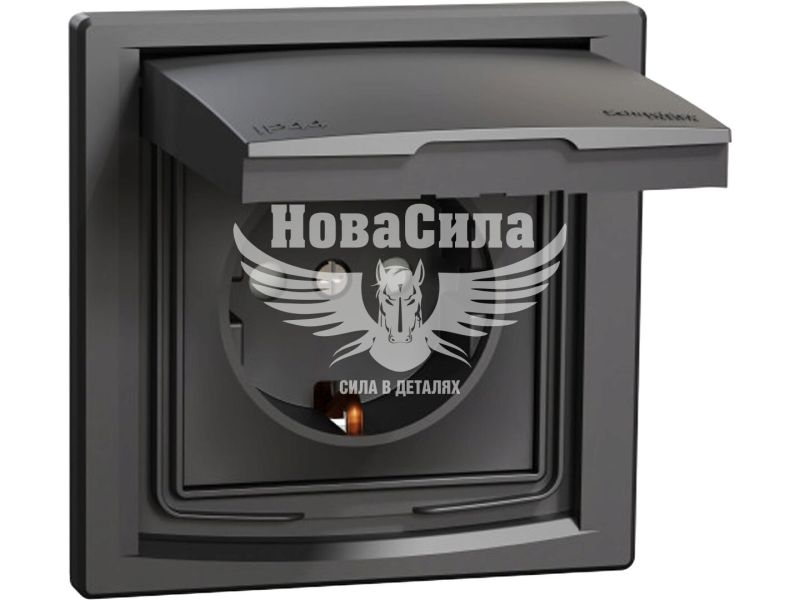 Розетка одинарна Schneider Electric Asfora з/з з кришкою, антрацит (EPH3100371)