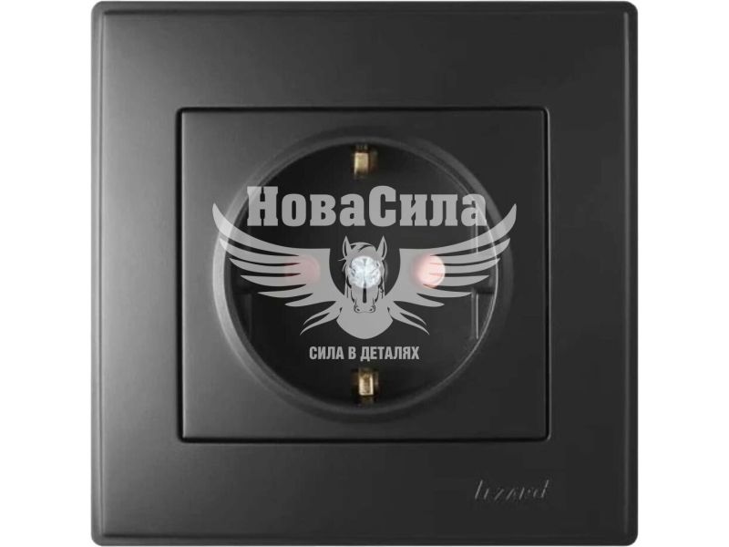 Розетка одинарна Lezard Lesya з/з з захистом від дітей, андрацит (705-4242-124B)