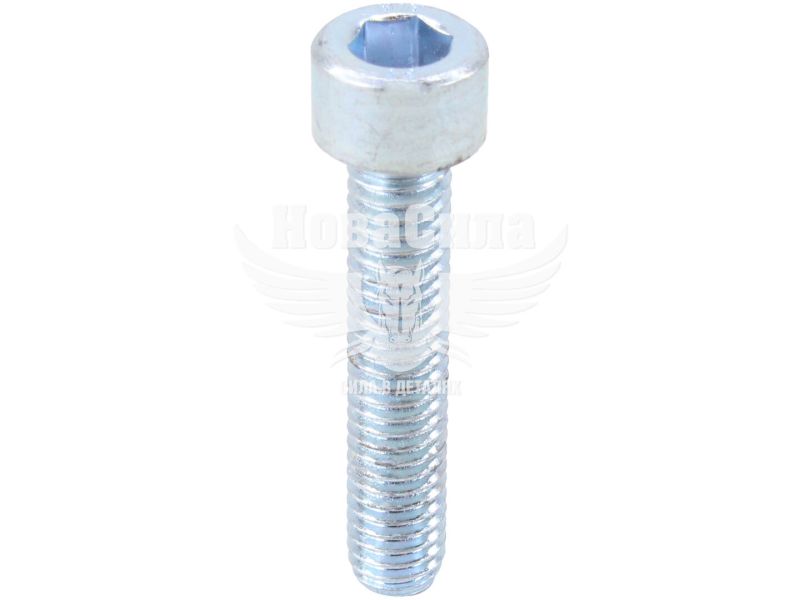 Болт 6х30 з внутр. шестигранником (БелЗАН) (HSHCS630W)